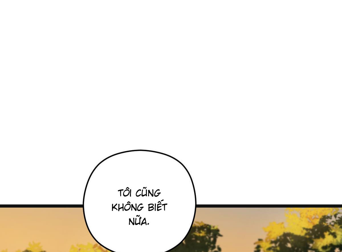 tương phùng chapter 33 226