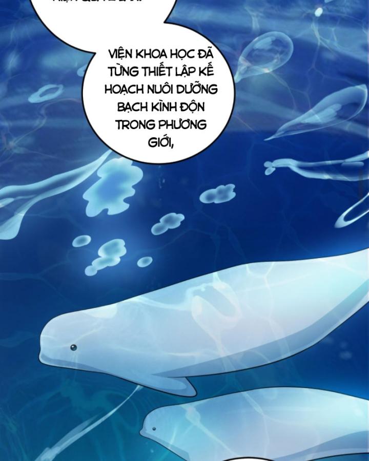 học cùng em gái, tôi bất cẩn vô địch rồi chapter 104 12