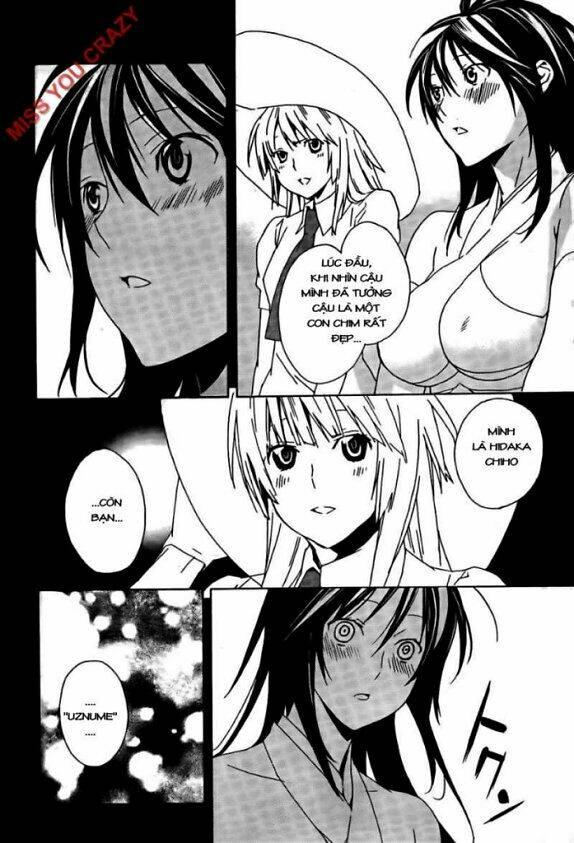 sekirei chapter 99 8