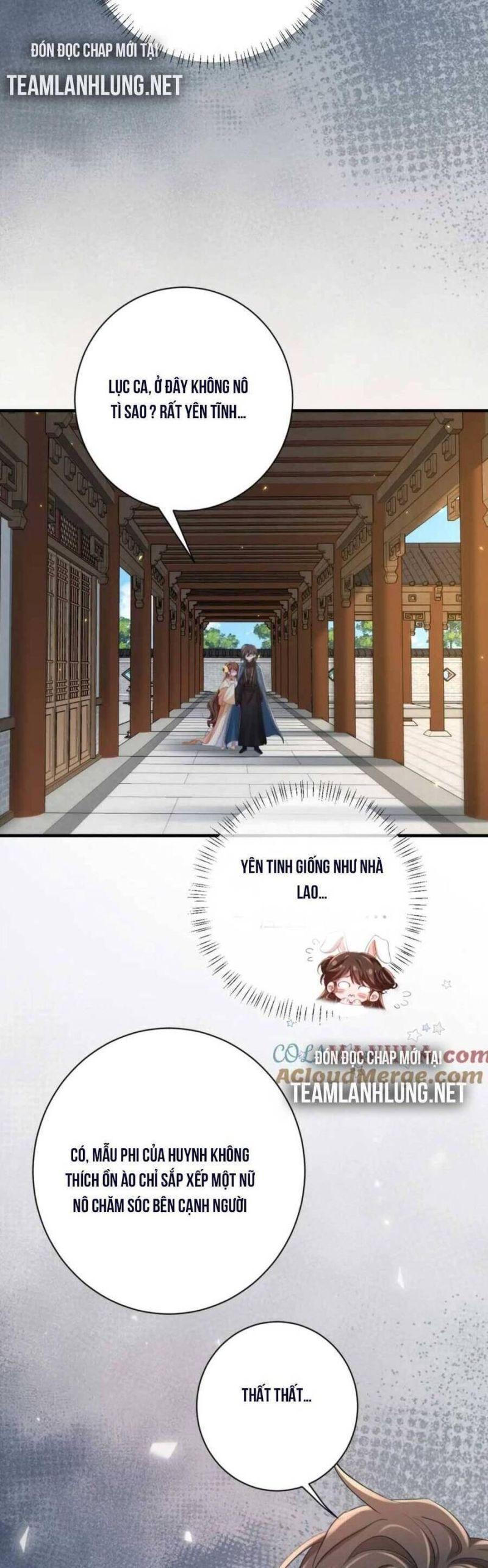 phương thức sinh tồn của công chúa pháo hôi chapter 176 6