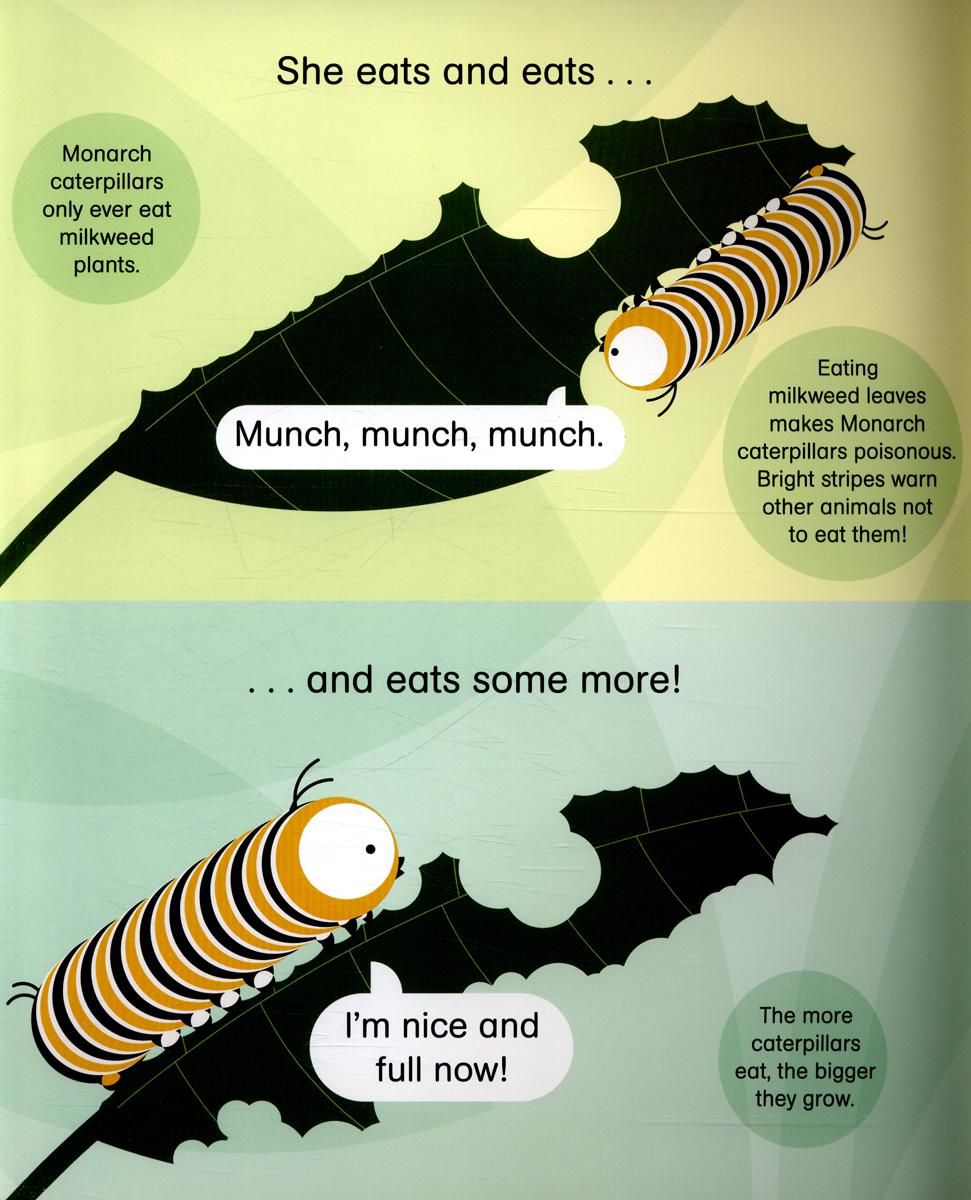 ROUNDS: CORA CATERPILLAR PB