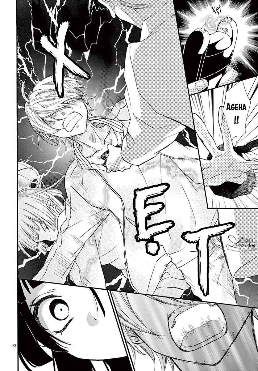 chàng rể giả nhân giả nghĩa chapter 5 22