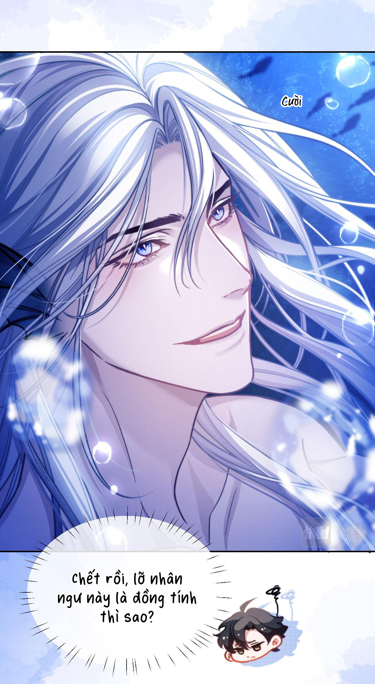 nhân ngư dessaro chapter 14 4