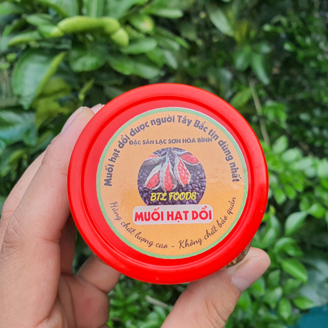 Lọ 100Gr Muối Hạt Dổi Lạc Sơn Hòa Bình gia vị Tây Bắc
