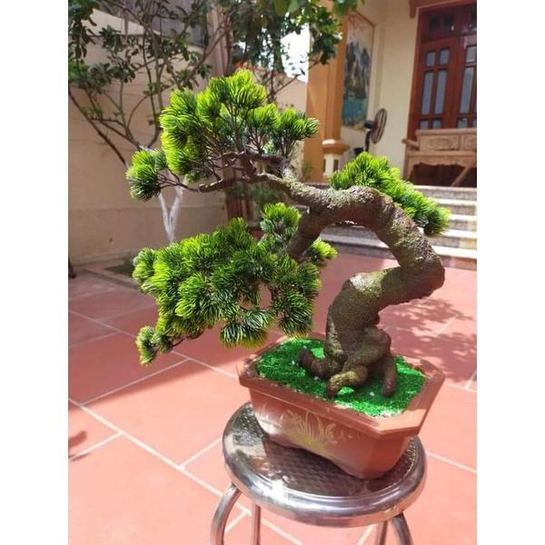 Cành thông nhựa - Cành giả làm cây cảnh, bonsai - Hoa lụa Minh Hòa