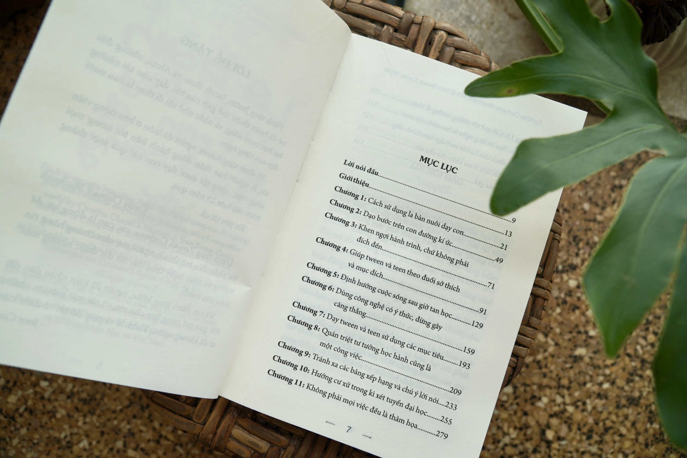 La Bàn Nuôi Dạy Teen Thành Công - PNU