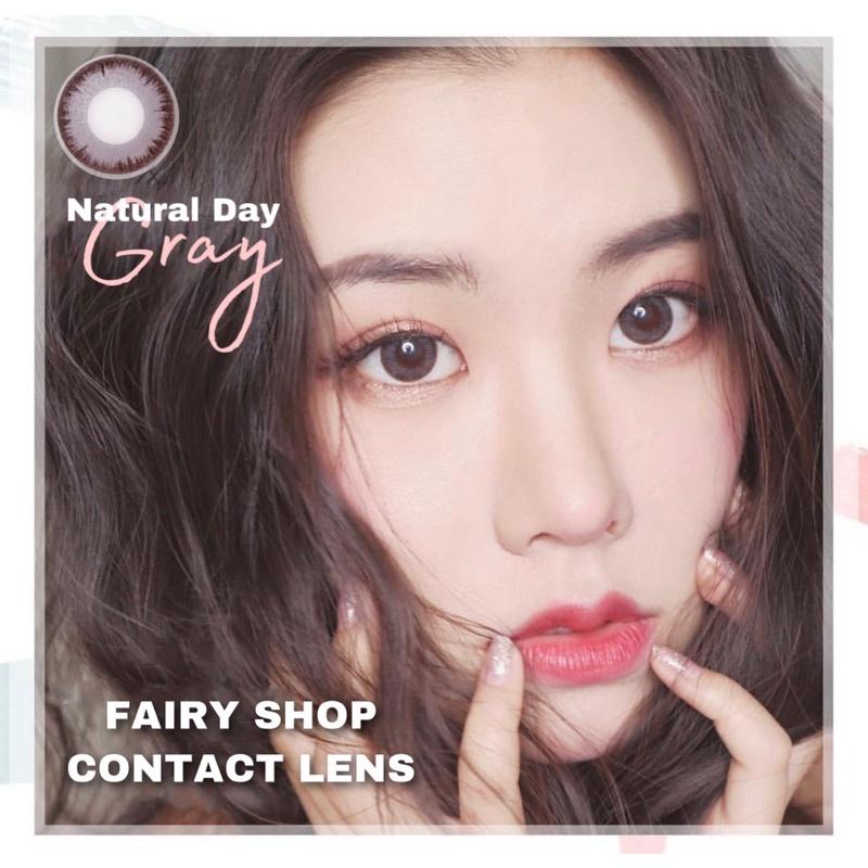 Kính Áp Tròng IXA GRAY 14.0 mm - Kính Áp Tròng FAIRY SHOP CONTACT LENS