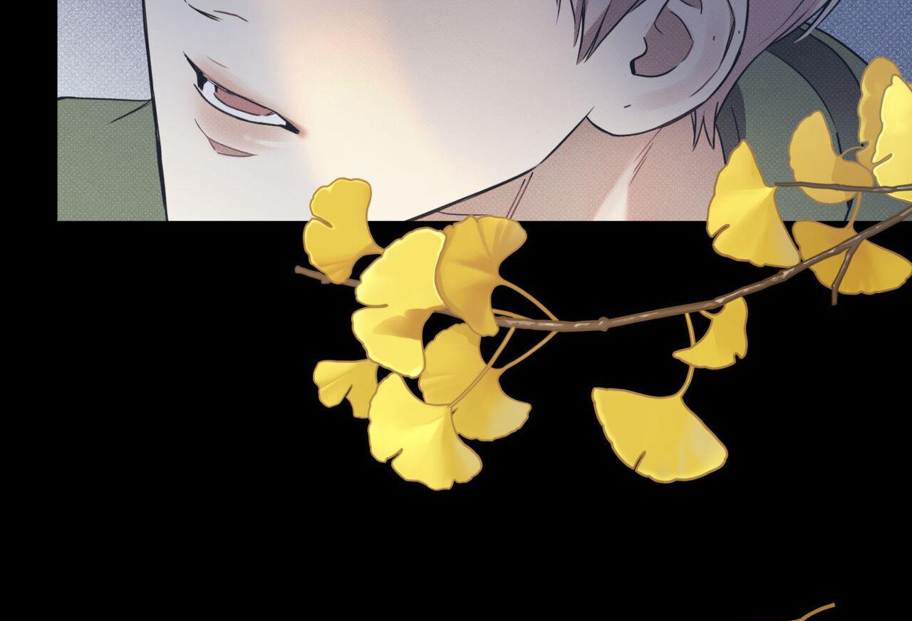 dải hợp âm trên đại dương xanh chapter 39 66