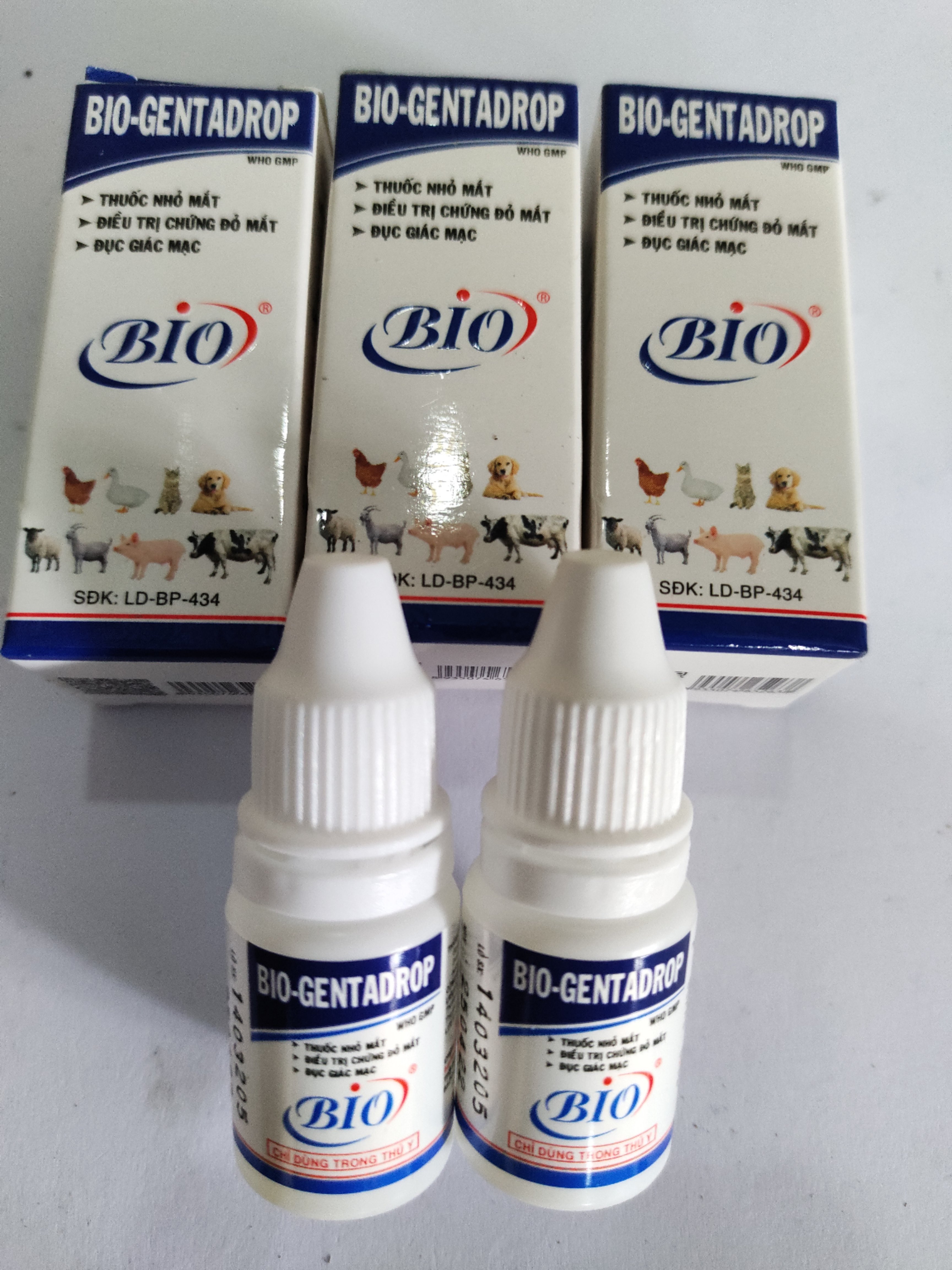 BIO GENTADROP 10ml Thuốc nhỏ mắt các chứng đỏ mắt, đục giác mạc dành cho chó mèo chim gà vịt heo trâu bò