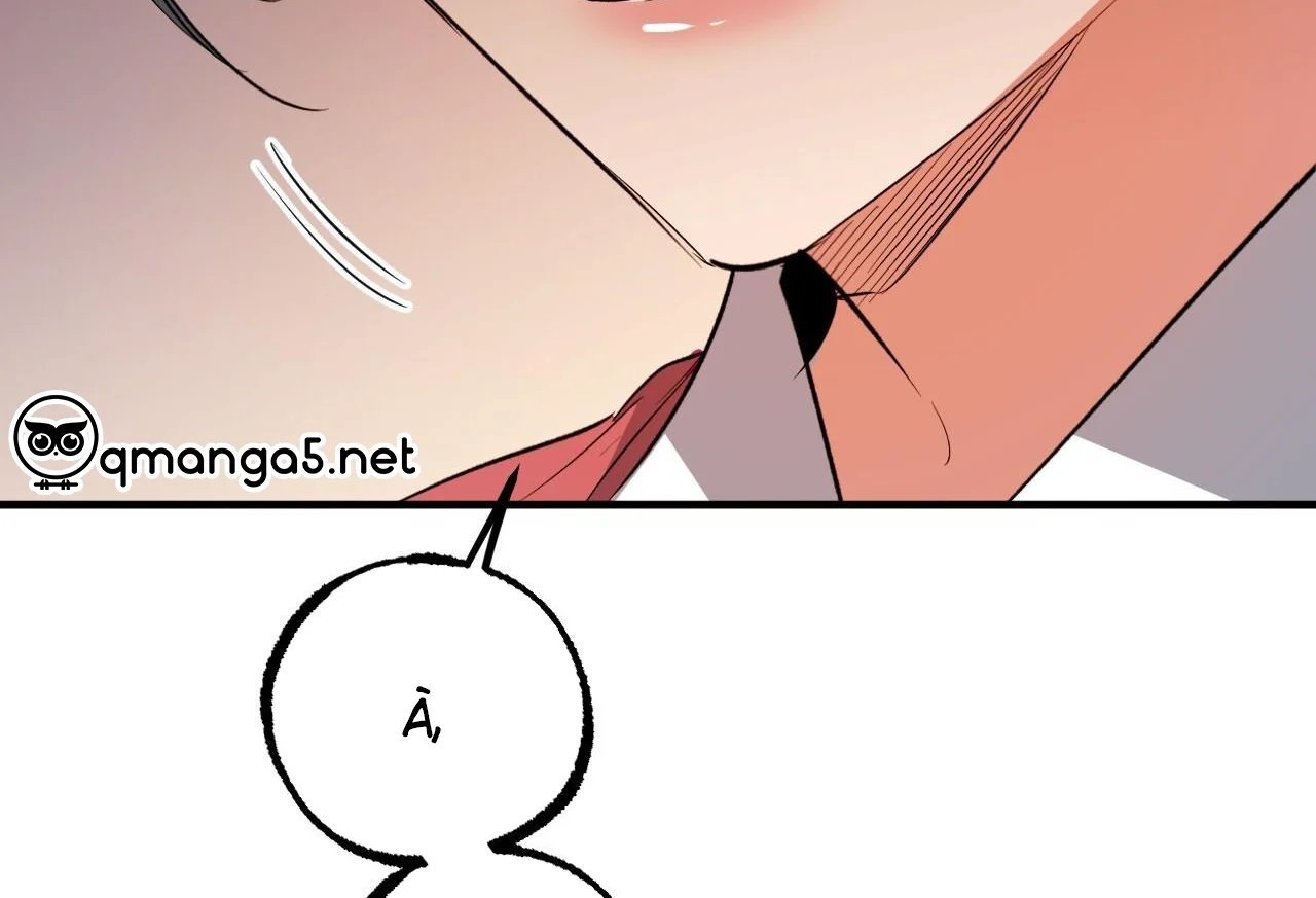 những chú thỏ của hapypy chapter 65 172