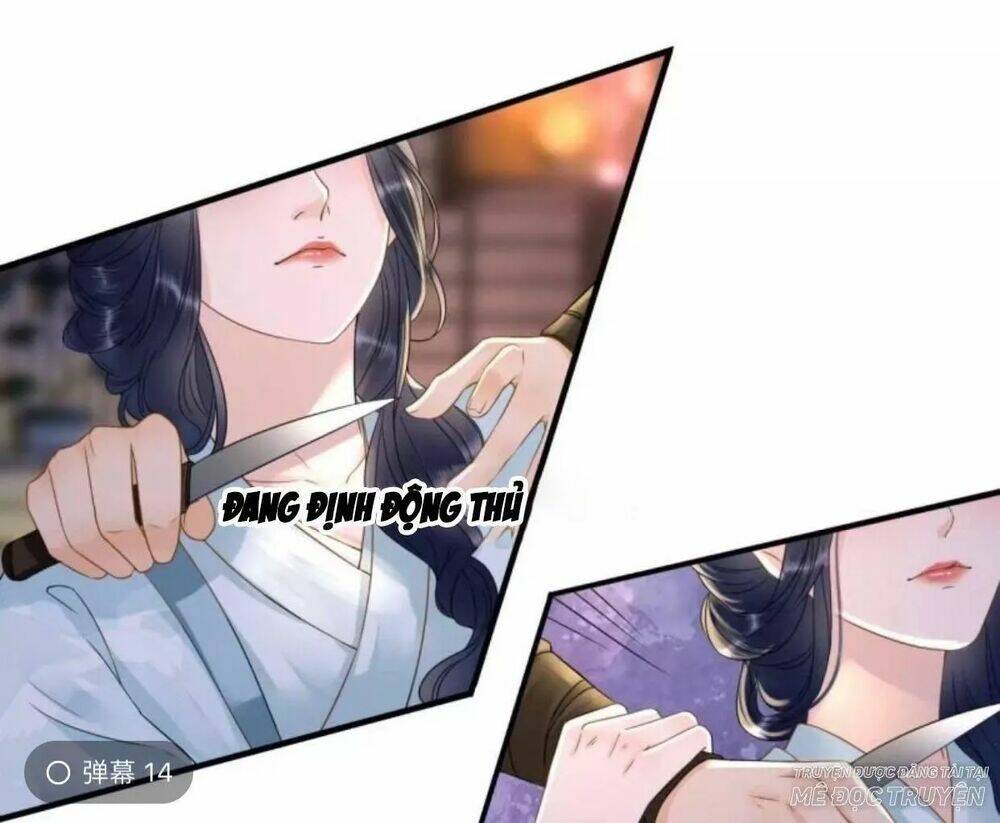 sủng phi của vương chapter 104 15