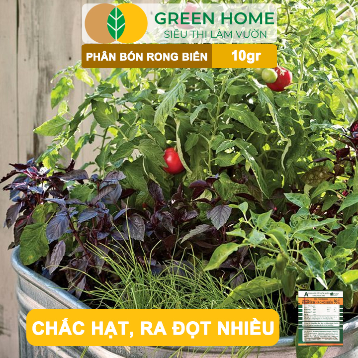 Phân Bón Lá Rong Biển GreenHome, Seaweed, Gói 10gr, Hữu Cơ, Ra Hoa, Đậu Trái, Chắc Hạt, Tăng Khả Năng Ra Đọt, Tốt Rễ