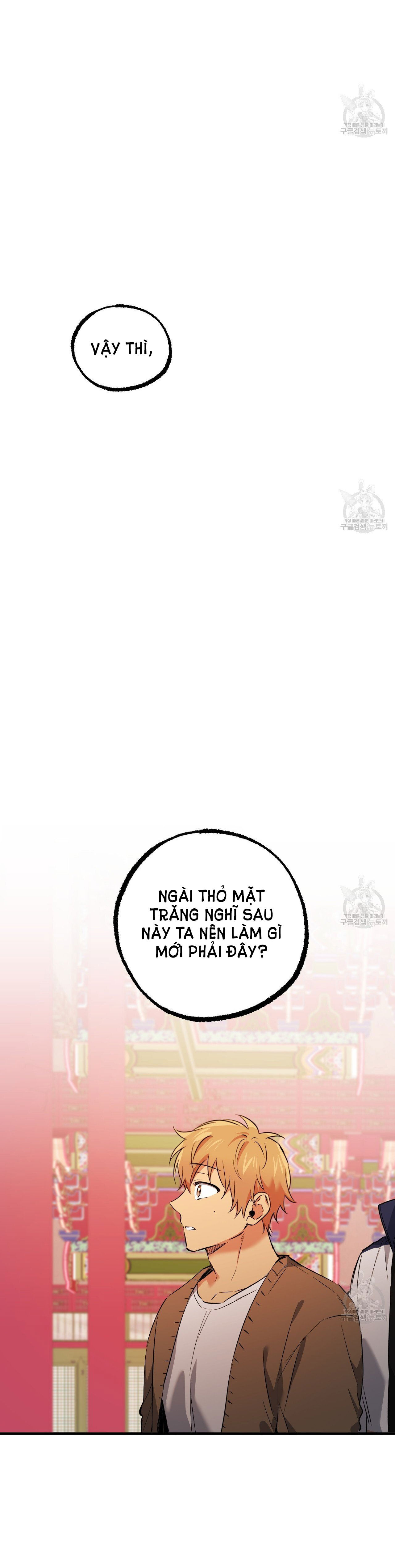 những chú thỏ của hapypy chapter 62.2 50