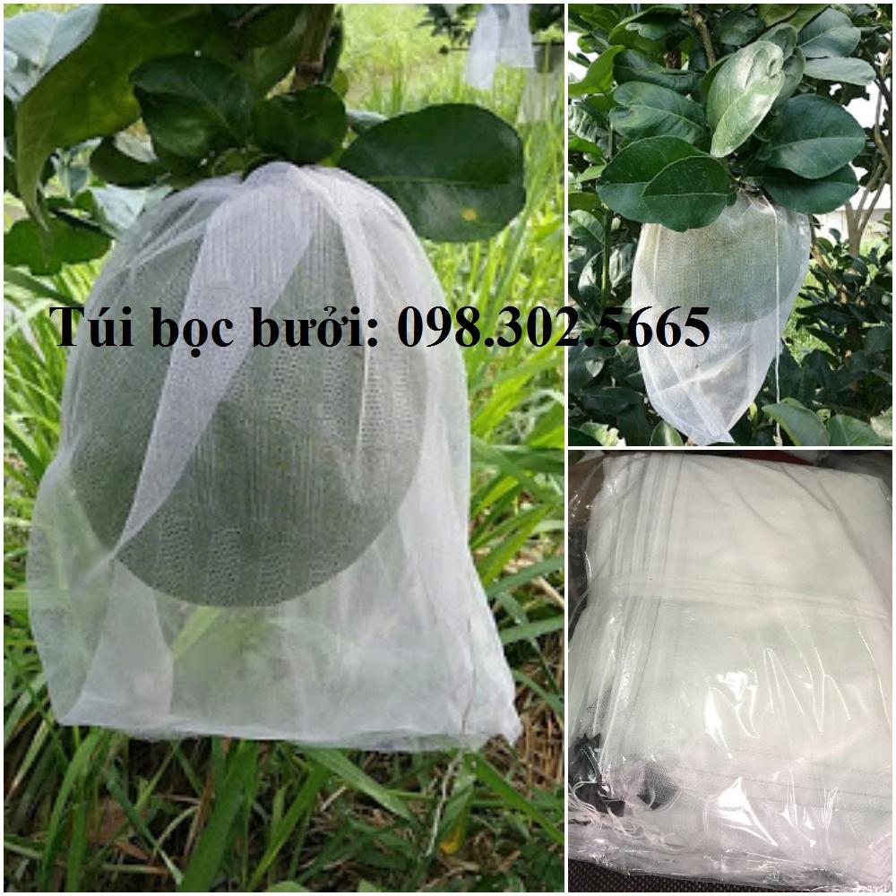 200 túi bao trái cây loại to Ánh Dương kích thước 30x30cm