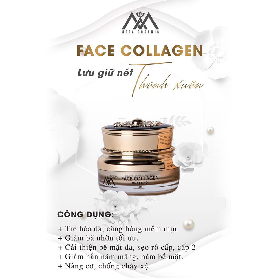 KEM FACE COLLAGEN DNA CÁ HỒI 25G