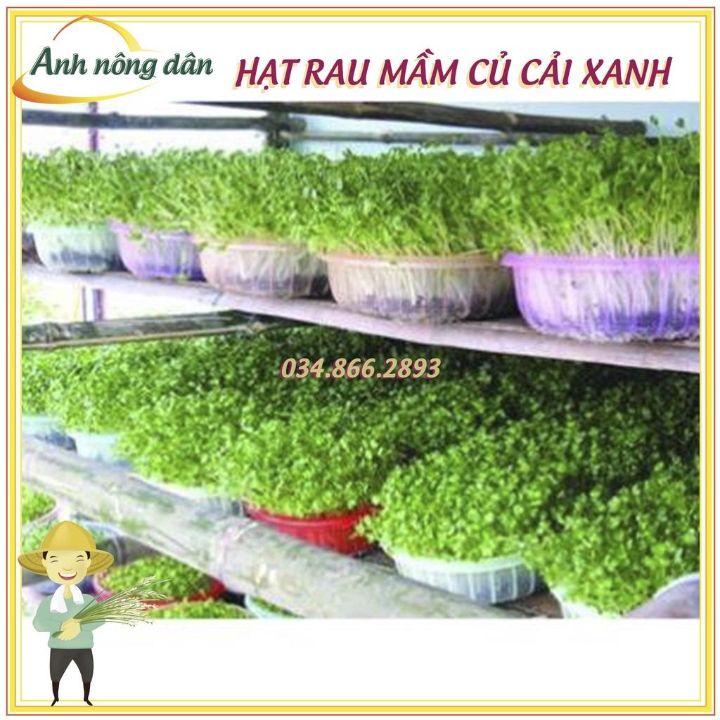 Gói 1kg Hạt rau mầm rau Củ cải Trắng - nảy mầm đều, 7 ngày thu hoạch