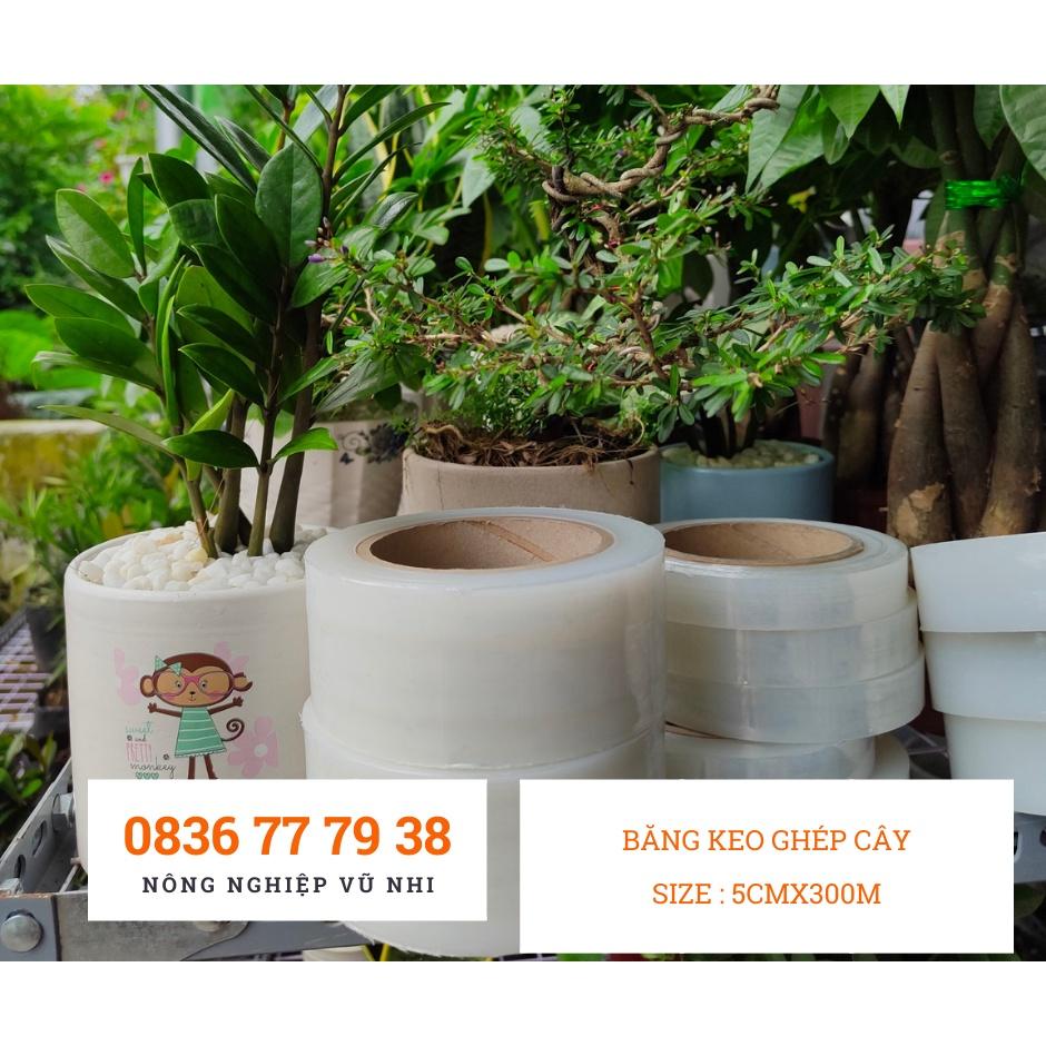 Băng keo ghép cây tự dính, tự hủy size 5cmx300m - hatgiong24h