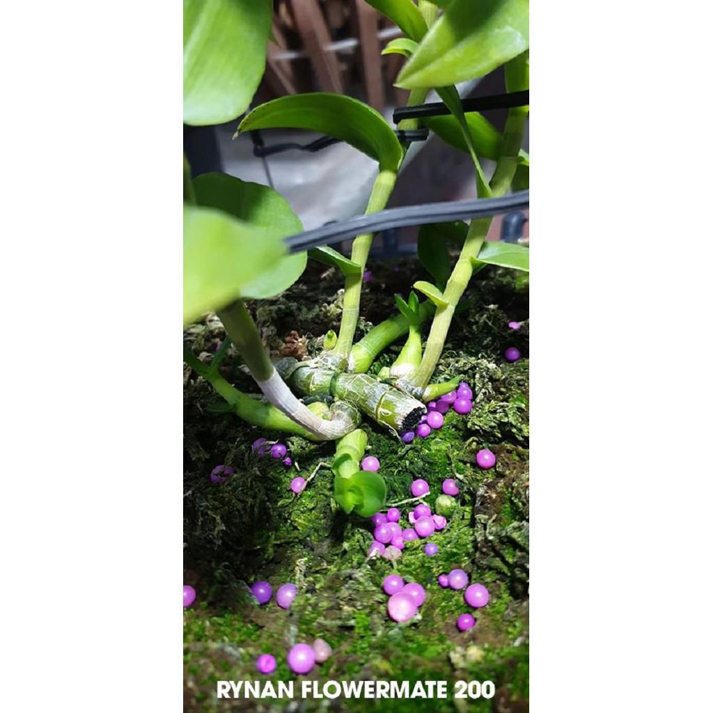 COMBO 5 Loại Phân Bón Thông Minh RYNAN - PHÂN TAN CHẬM THÔNG MINH RYNAN