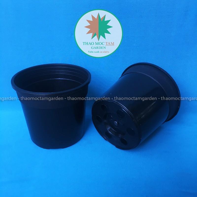 Chậu nhựa dày 12x11cm – Chậu nhựa cứng, dày chất lượng trồng sen đá và cây hoa nhỏ, ươm lan kiếm, lá kiểng