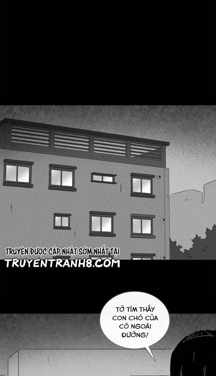 những câu chuyện bất thường chapter 238 33