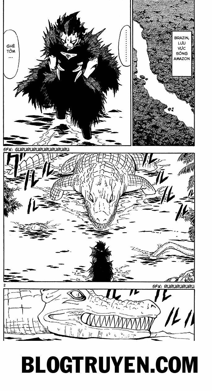 konjiki no gash!! chapter 54 3