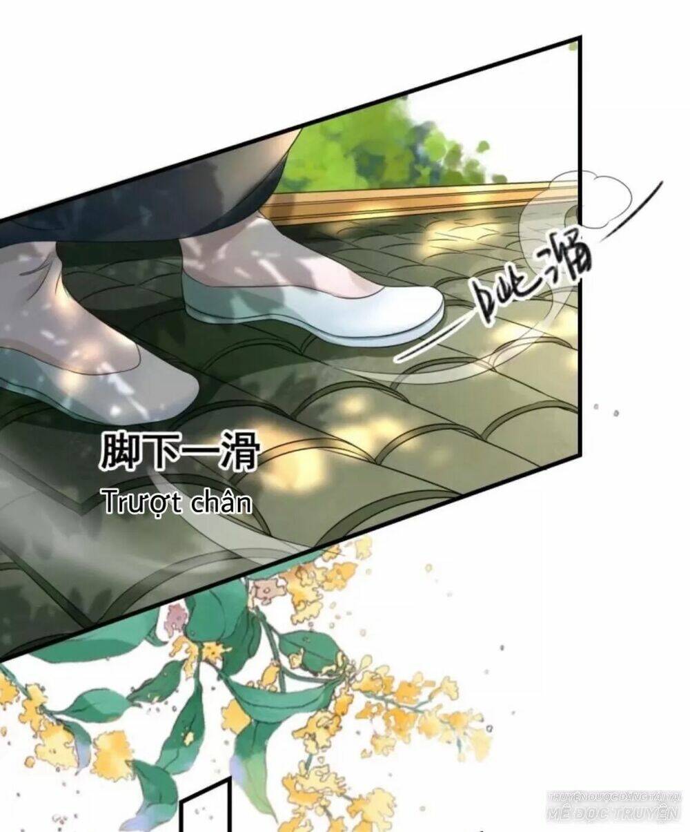 sủng phi của vương chapter 67 12