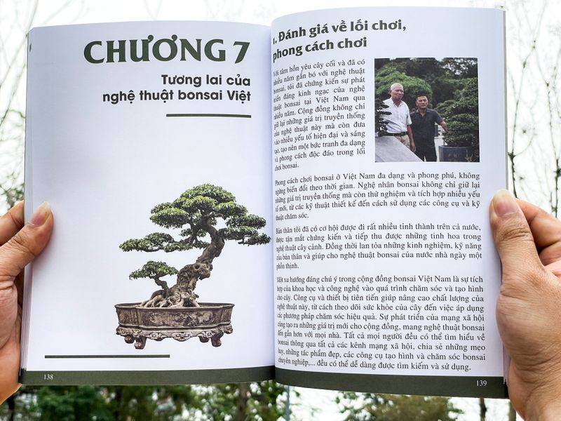 Sách Bonsai Làm chủ tư duy Định hình tác phẩm