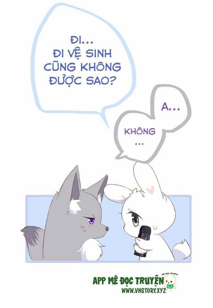 con tim rung động 2 chapter 81 42