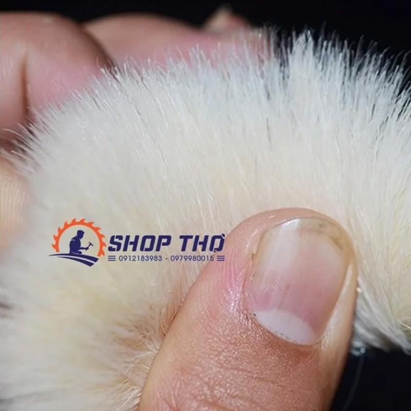 Chổi quét sơn lông cừu siêu mịn - 76mm - 2 cái