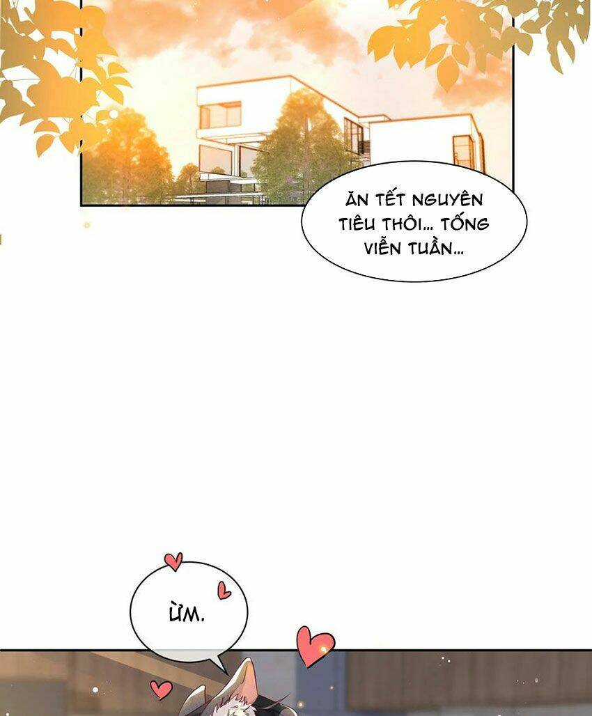 nhiệt độ xã giao chapter 38.5 4