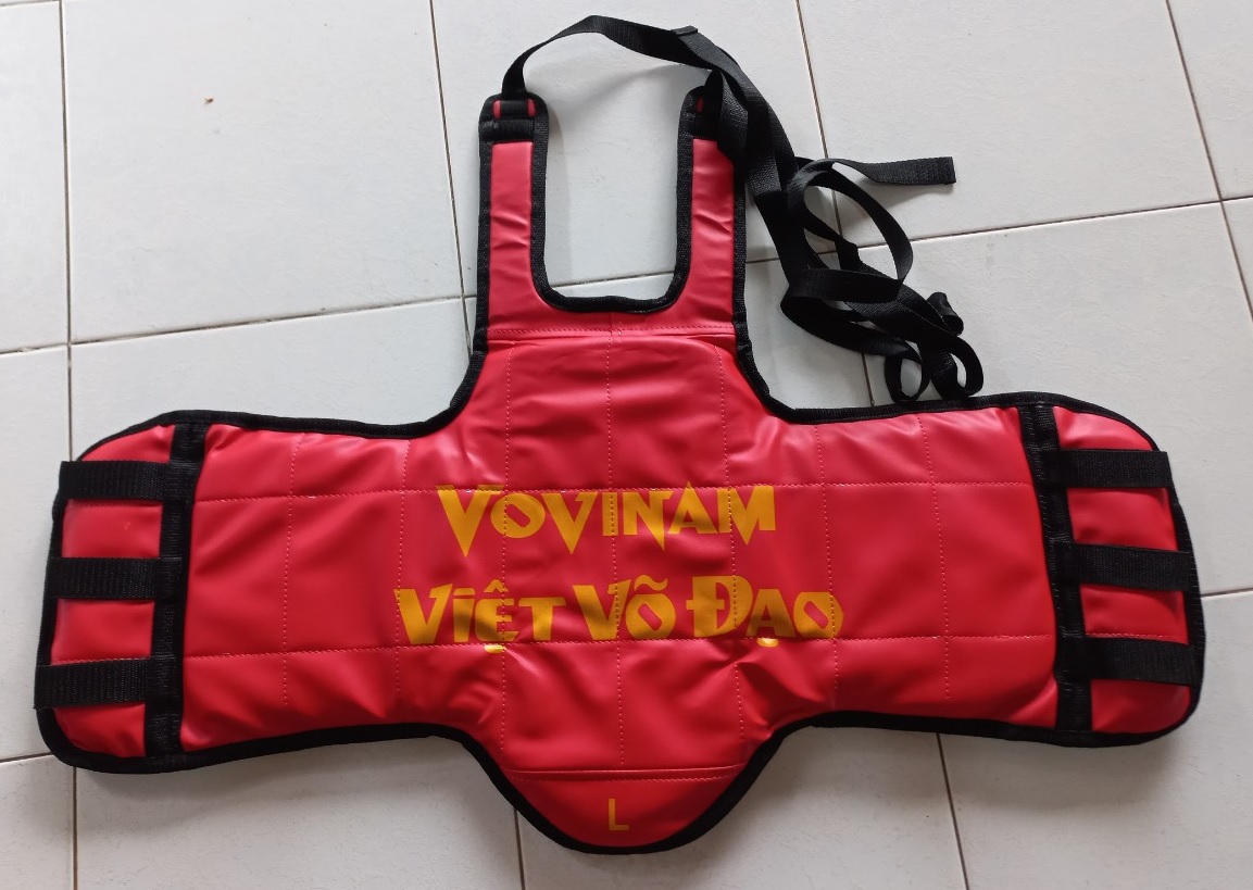 Giáp Vovinam 2 Mặt