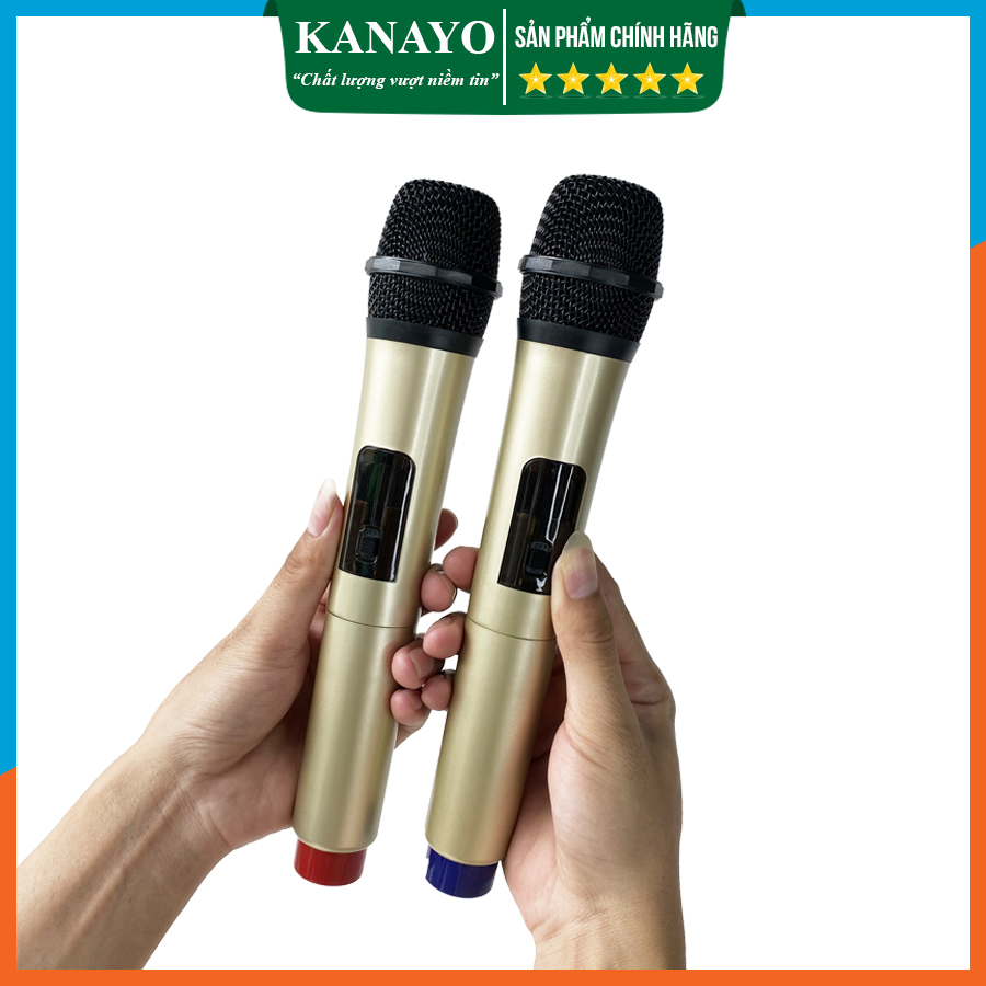 Loa kéo karaoke mini Kanayo K-252 bass 25cm công suất 200W | Hàng chính hãng chất lượng cao | Tặng 2 micro
