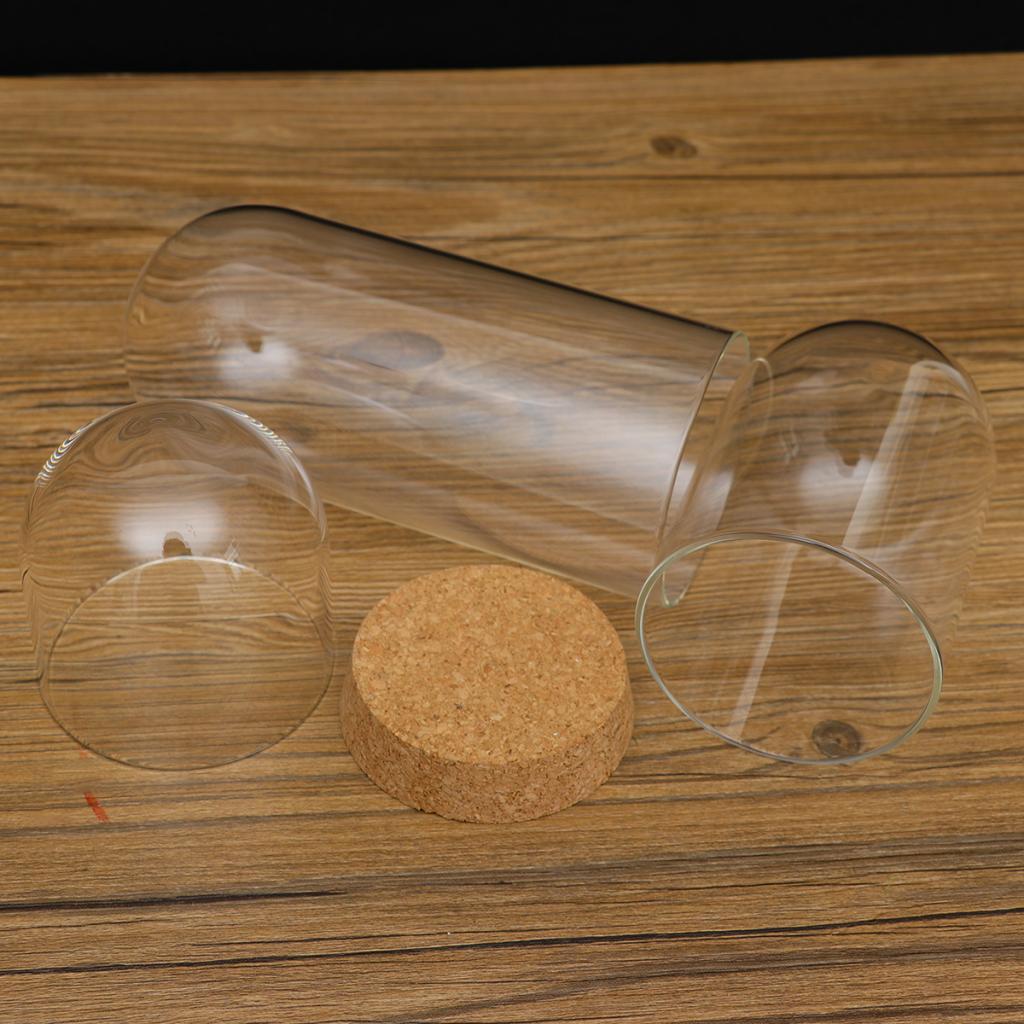 2xGlass Cover Landscape Terrarium Container Lid Vase Bottle 8x18cm
