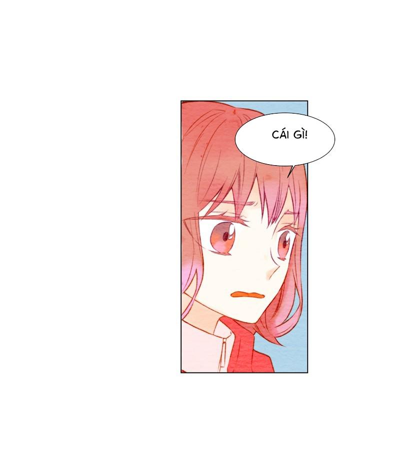sao chép chapter 12 38