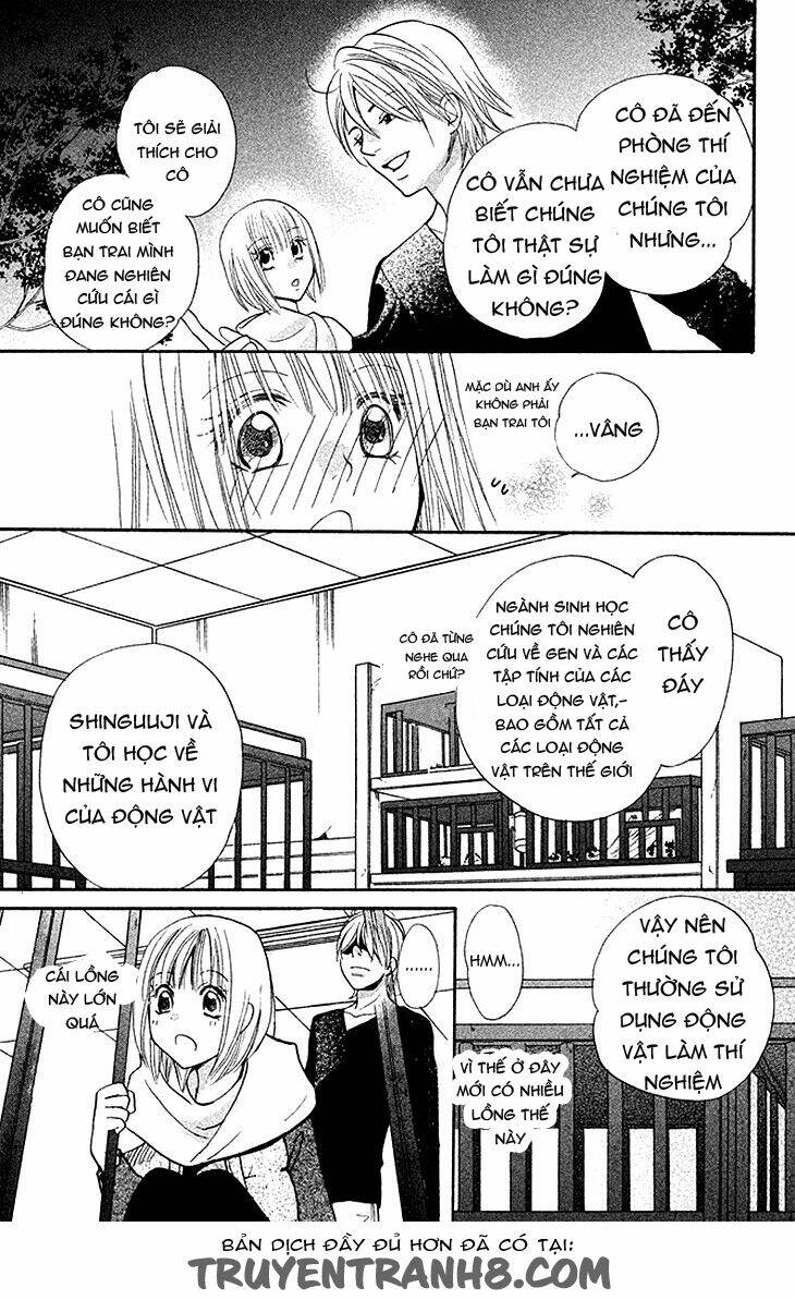 hetamen chapter 6 28