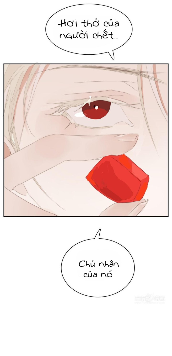 hãy chìm đắm trong cuốn sách của tôi chapter 55 9