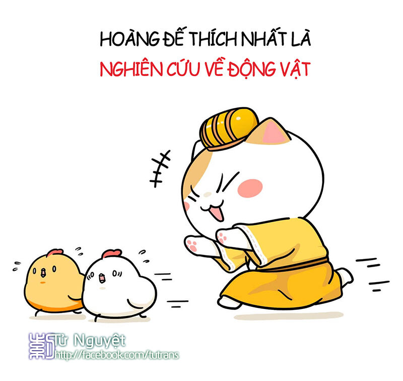 nếu lịch sử là một bầy mèo chapter 1 24