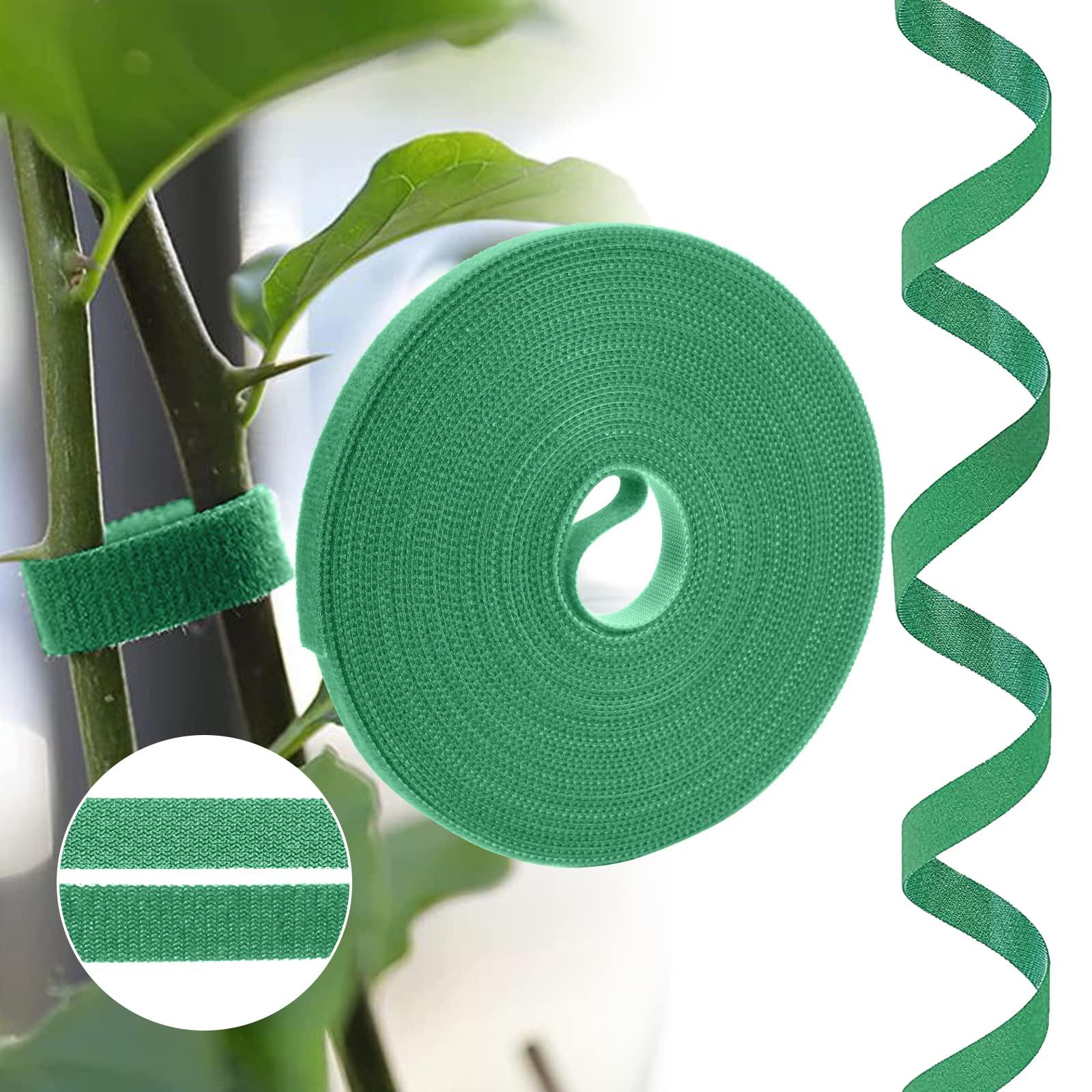 Plantbinder Velcro, Băng dây có khả năng kết nối hai loại thực vật có thể khóa được hỗ trợ hai lần hỗ trợ thực vật có khả năng chống dính đa năng.