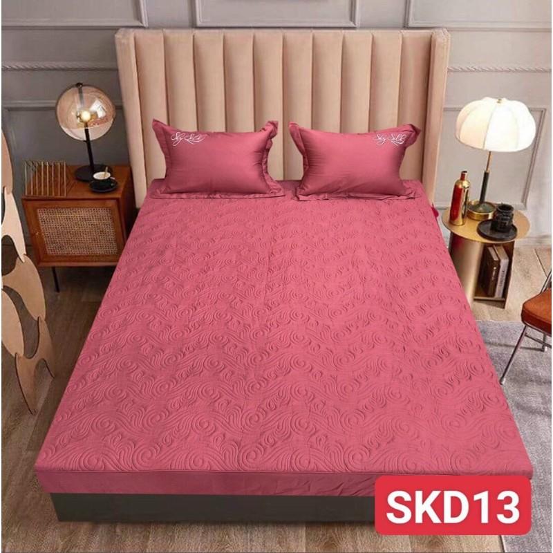 BST Drap Ga gối - Bộ 3 món ga giường và 2 chiếc vỏ gối chun trần silk