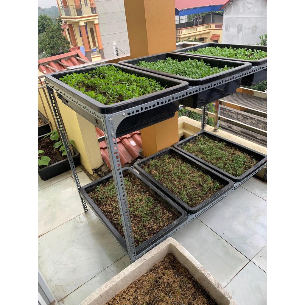 Kệ sắt v lỗ trồng rau đa năng tiện lợi