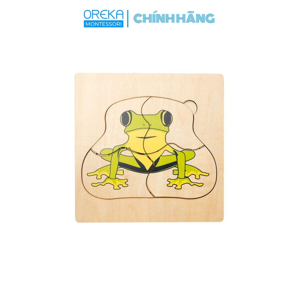 Đồ chơi trẻ em Oreka Montessori Ghép hình động vật:Vòng đời của Ếch - 0641500