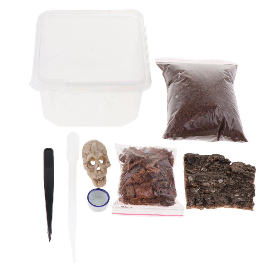 Reptiles Terrariums Feeding Box for Spider Insect Cricket Snail Frog L