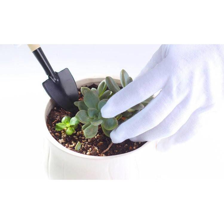 Bộ dụng cụ làm vườn mini 3 món xẻng quốc cào tiện dụng