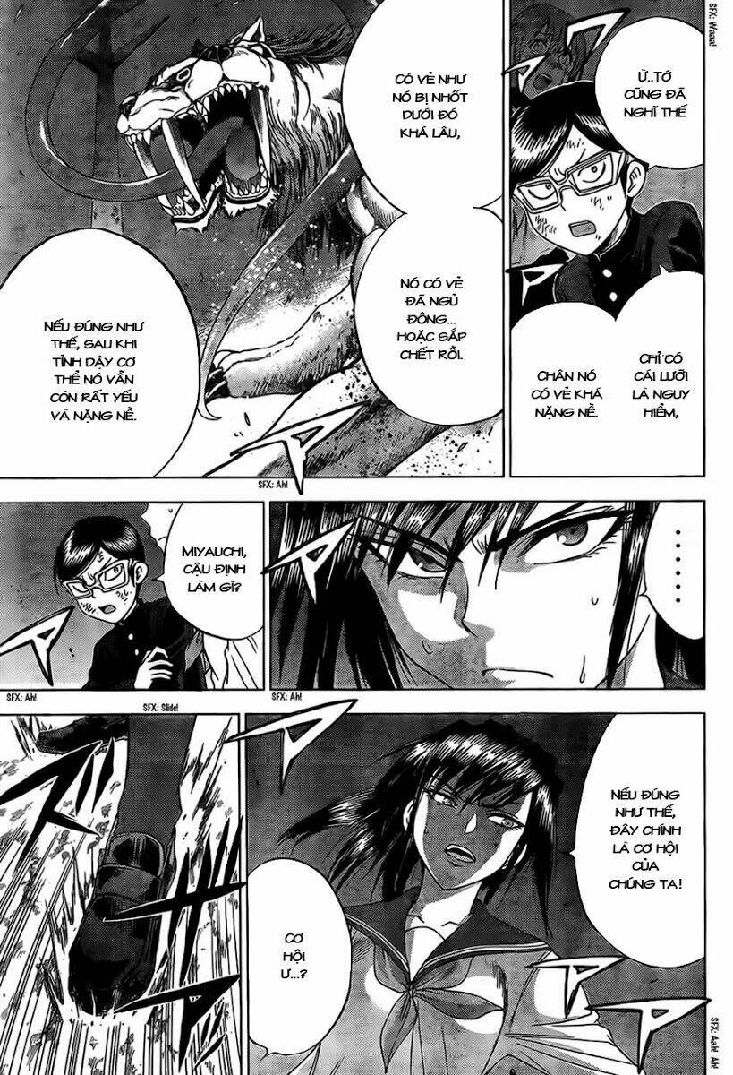 cage of eden chapter 144 12