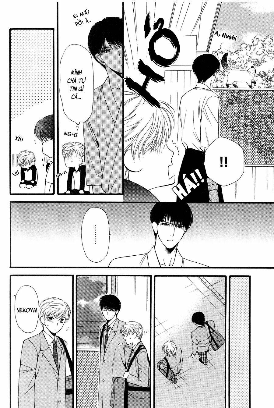 neko neko honey chapter 11 16