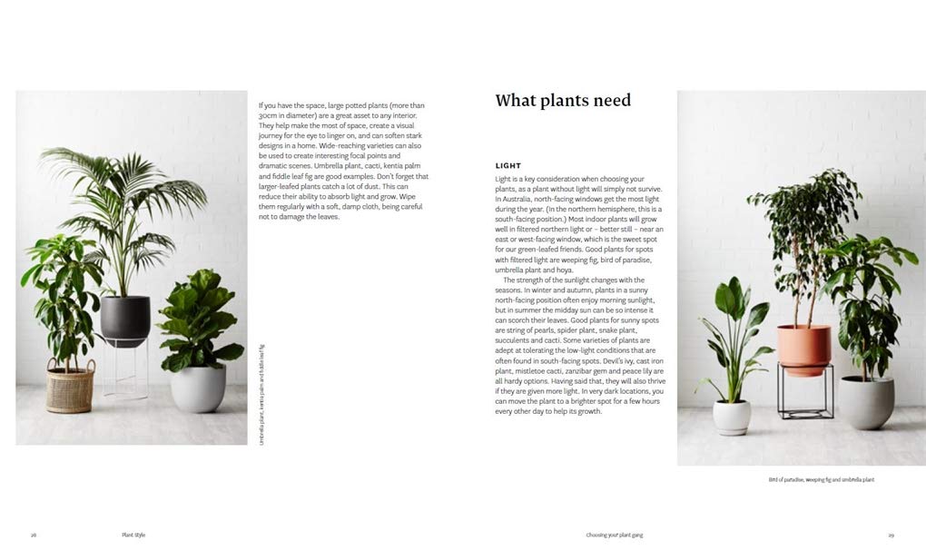 Plant Style: How To Greenify Your Space