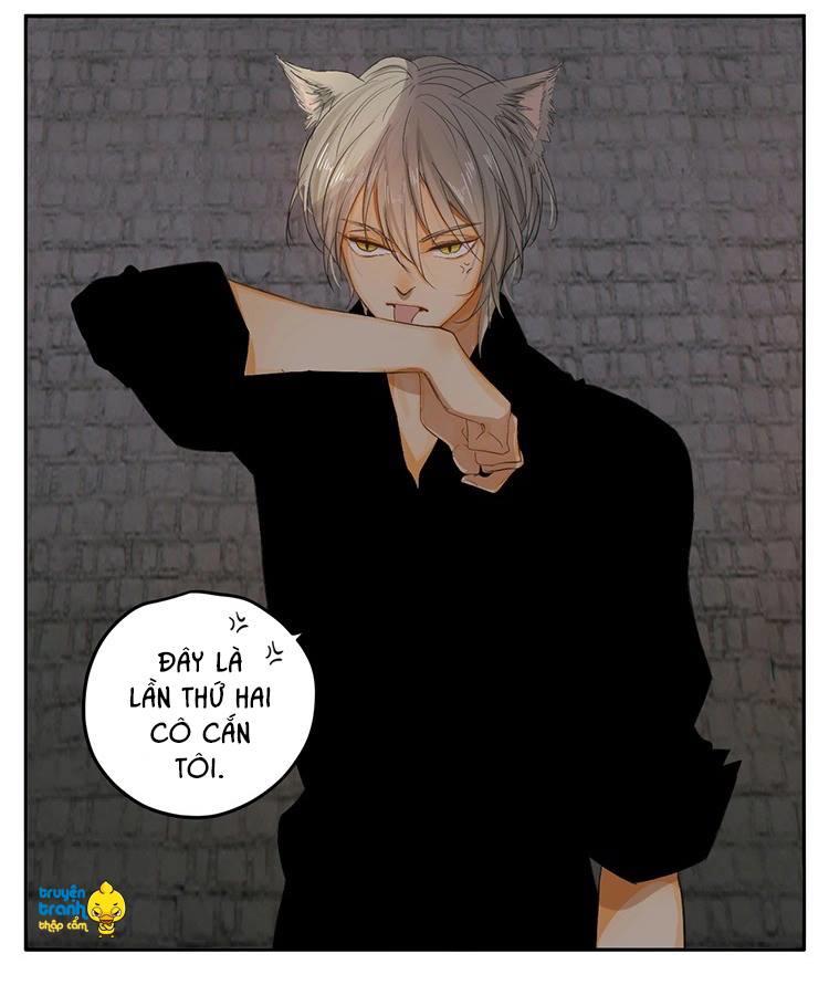 cứu mạng ! loài mèo thống trị thế giới rồi ! chapter 20 26