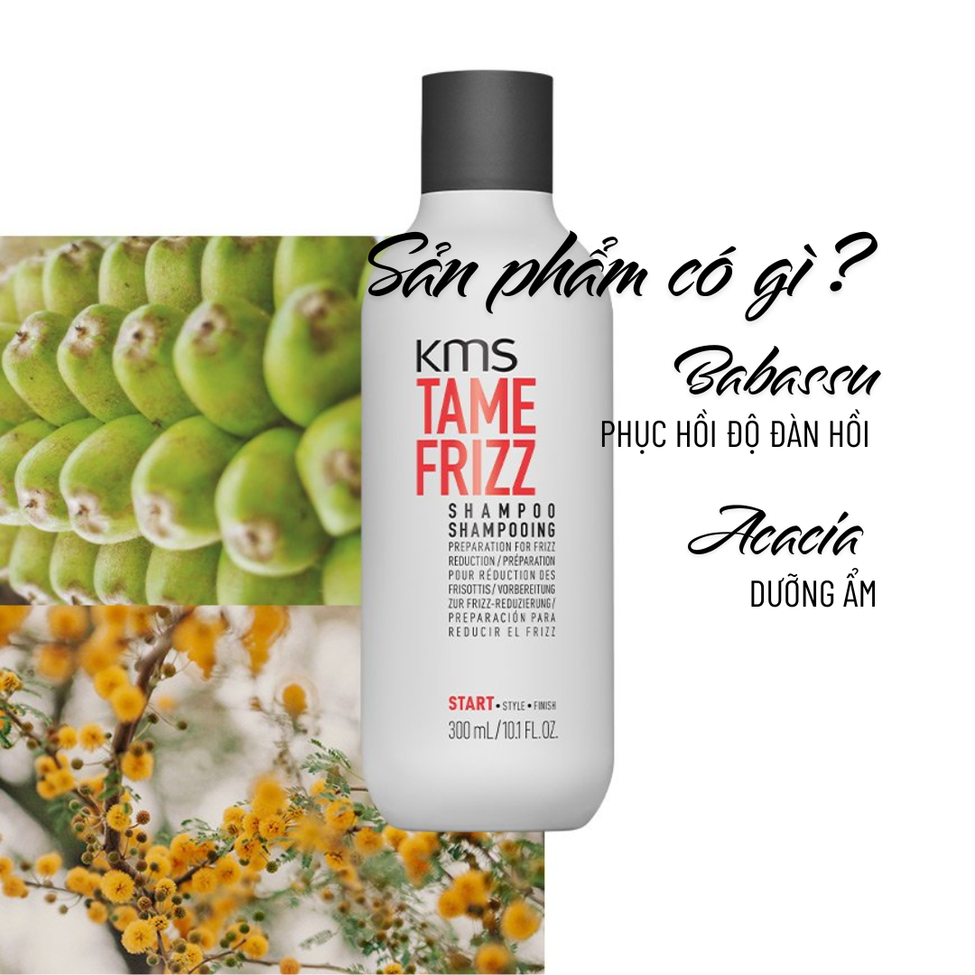 Dầu Gội Dưỡng Tóc Mềm Mượt Goldwell KMS Tamefrizz Kiểm Soát Bông Xù, Giảm Xơ Rối Lên Đến 99