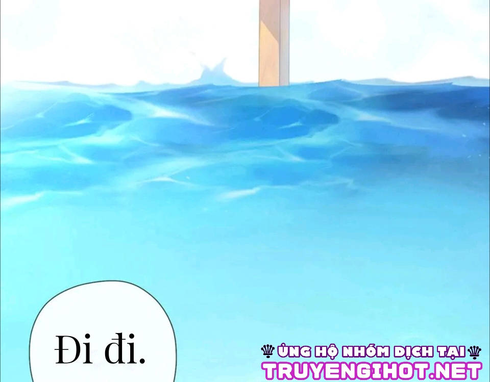 người cá học yêu chapter 1 16