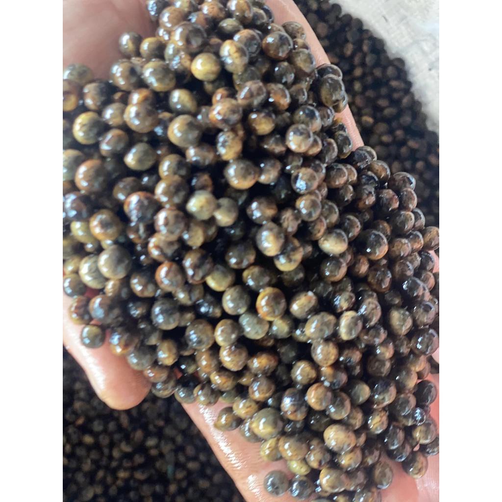 200 gram hạt giống long não, dã hương